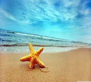 starfish